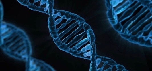 Image of a DNA strand